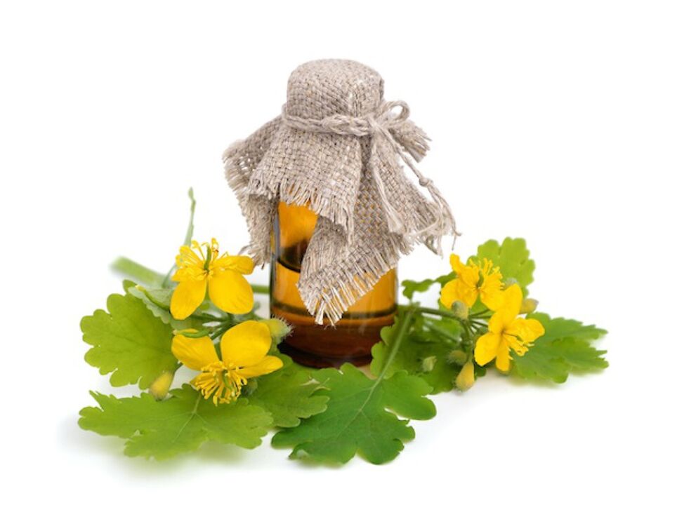 infusión de celidonia para fungo do pé